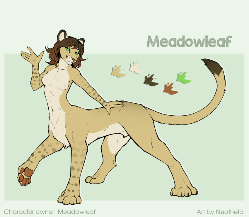 animal_genitalia anthro breasts brown_hair chakat claws dickgirl digitigrade featureless_breasts felid felid_taur feline fur hair intersex lion mammal model_sheet neotheta nude pantherine paws quadruped sheath solo spots taur toe_claws