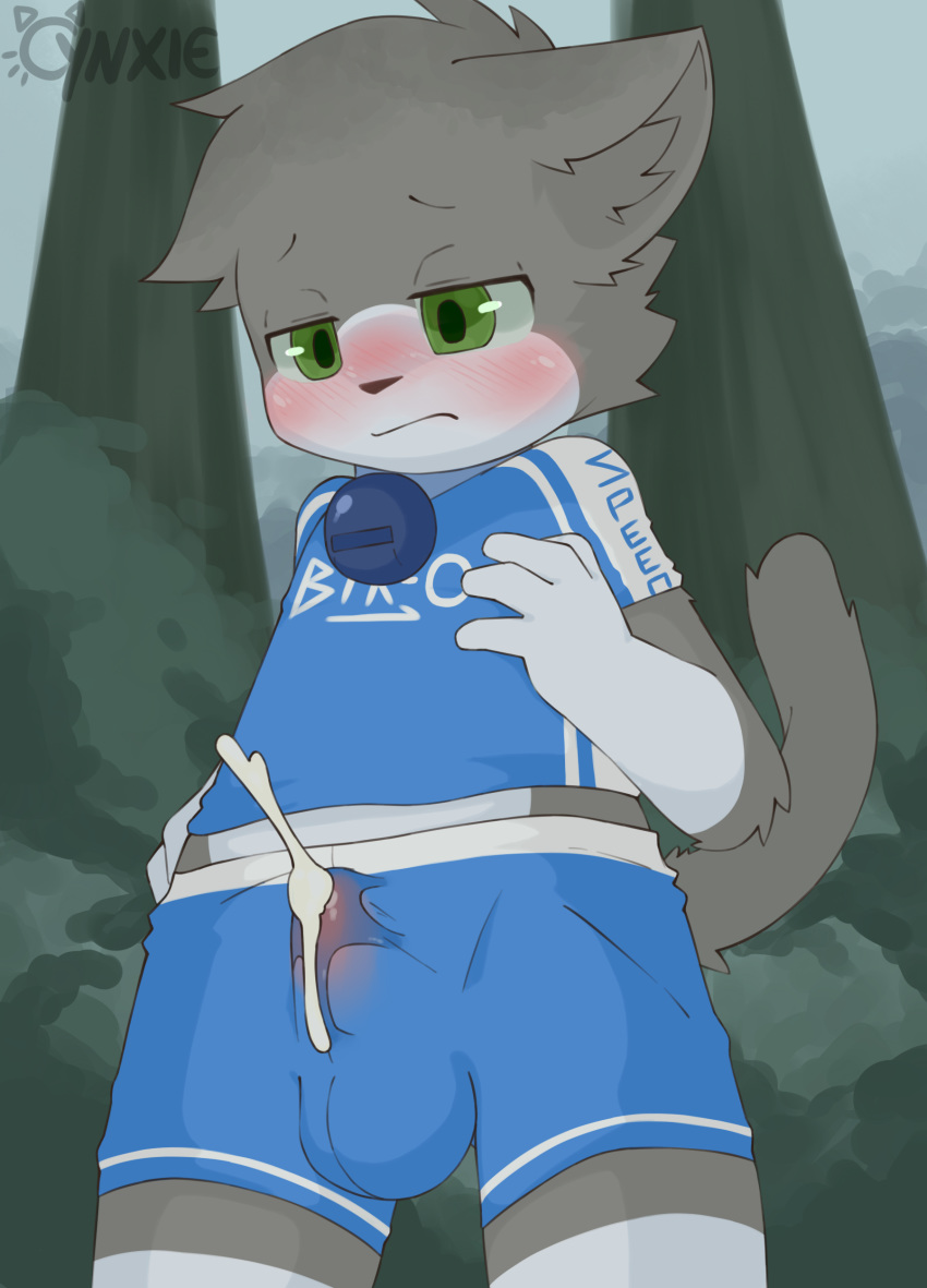 balls blush bulge clothed clothing cub cum cum_through_clothing cynxie_(artist) domestic_cat felid feline felis fur green_eyes grey_fur hands-free leo_(vg_cats) male mammal orgasm tagme vg_cats webcomic wet wet_clothing young