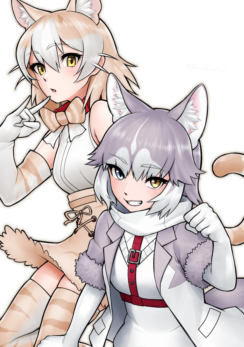 2girls \n/ animal_ear_fluff animal_ears bangs bare_shoulders blue_eyes bow bowtie cat_(kemono_friends) cat_ears cat_tail chestnut_mouth collar commentary dog_(mixed_breed)_(kemono_friends) dog_ears elbow_gloves extra_ears eyebrows_visible_through_hair fur-trimmed_sleeves fur_trim gloves grey_hair grin hair_between_eyes heterochromia high-waist_skirt highres jacket kemono_friends light_brown_hair looking_at_viewer losmal_indicus multicolored_hair multiple_girls open_clothes open_jacket open_mouth paw_pose pet_collar shirt short_hair short_sleeves simple_background skirt sleeveless sleeveless_shirt smile tail thighhighs two-tone_hair white_background white_hair yellow_eyes