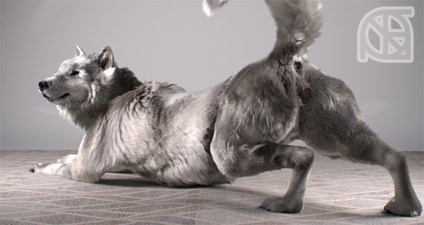 3d_(artwork) animal_genitalia animal_pussy anthro anus ass_up black_nose butt canid canine canine_pussy canis cosmiclife digital_media_(artwork) feet female feral flat_chested fur grey_fur helga_(cosmiclife) looking_at_viewer looking_back lying mammal on_front paws pinup pose presenting presenting_anus presenting_hindquarters presenting_pussy pussy raised_tail realistic semi-anthro solo spread_legs spreading stretching wolf