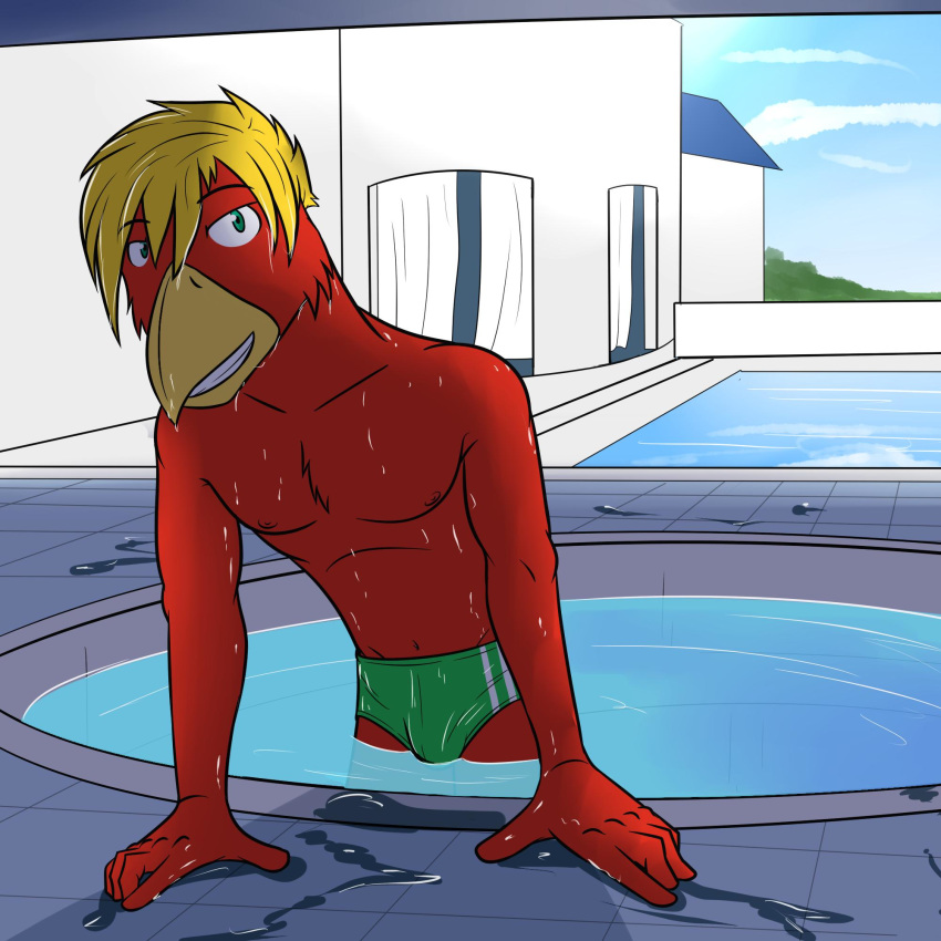 1:1 anthro avian bird bulge clothed clothing fuze hi_res hot_tub male navel nipples partially_submerged pecs solo speedo swimming_pool swimwear topless tyler_(fuze) wet