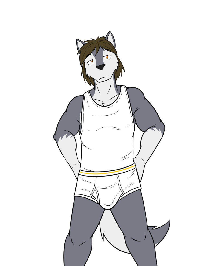 anthro briefs bulge canid canine canis clothing dignity_or_debt fuze hi_res male mammal shirt simple_background solo tank_top topwear underwear white_background wolf