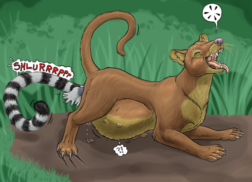 2011 ?! abdominal_bulge all_fours ass_up bent_over brown_fur claws euplerid eyes_closed female female_pred feral forced fossa fur grass lemur mammal orgasm outside primate pussy_juice_drip savanna simple_background strega teats tongue tongue_out traditional_media_(artwork) unbirthing vaginal vore