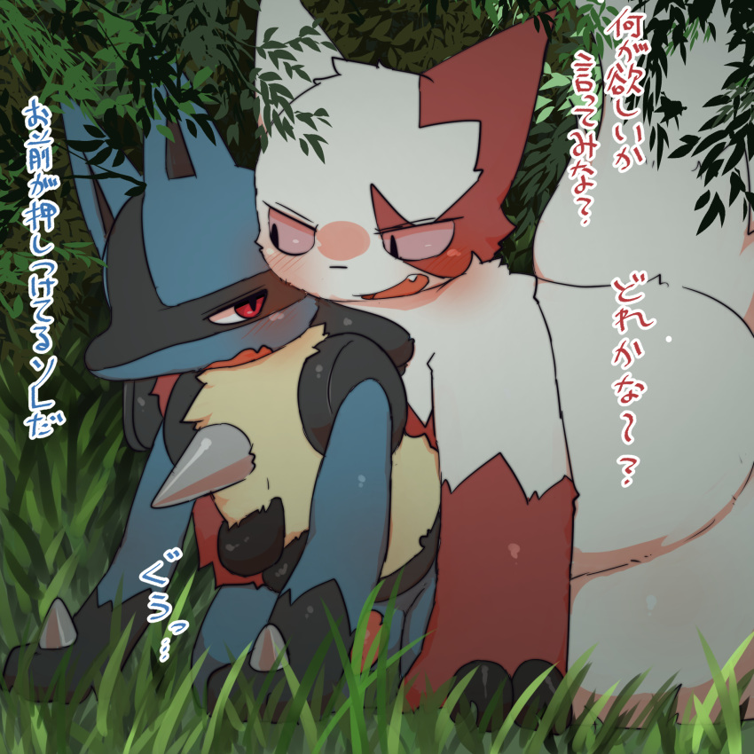 1:1 2018 all_fours ambiguous_gender anthro blush canid canine claws convenient_censorship cute_fangs digital_media_(artwork) duo erection eye_contact fur grabbing_from_behind grass half-closed_eyes hi_res japanese_text kemono looking_at_another lucario male mammal mixeeeel multicolored_fur naughty_face nintendo nude open_mouth outside penis pok&eacute;mon pok&eacute;mon_(species) red_fur slightly_chubby smile text translation_request video_games white_fur yellow_fur zangoose