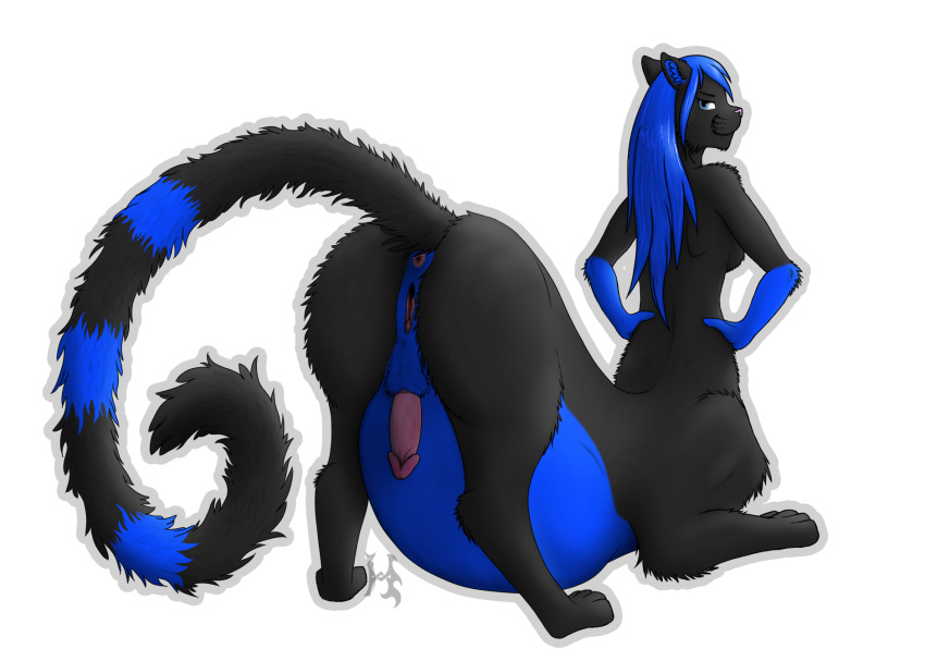 animal_genitalia anus blue_eyes blue_hair breasts chakat felid felid_taur hair herm hi_res hybrid-no.1 intersex looking_at_viewer mammal nude penis pregnant presenting pussy sheath softpurr_(character) taur