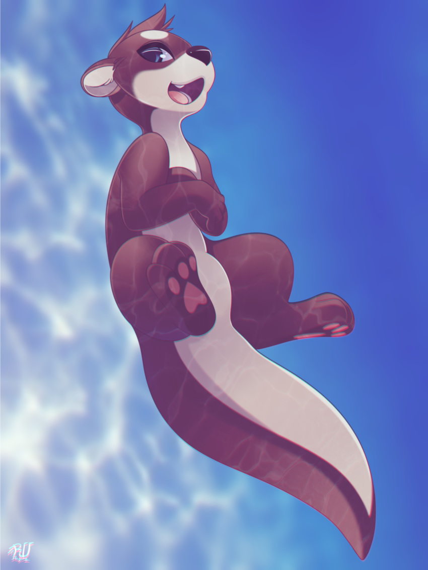 2019 ambiguous_gender blue_eyes brown_hair detailed_background digital_media_(artwork) feral hair hi_res lutrine mammal mustelid open_mouth phation smile solo tongue underwater water