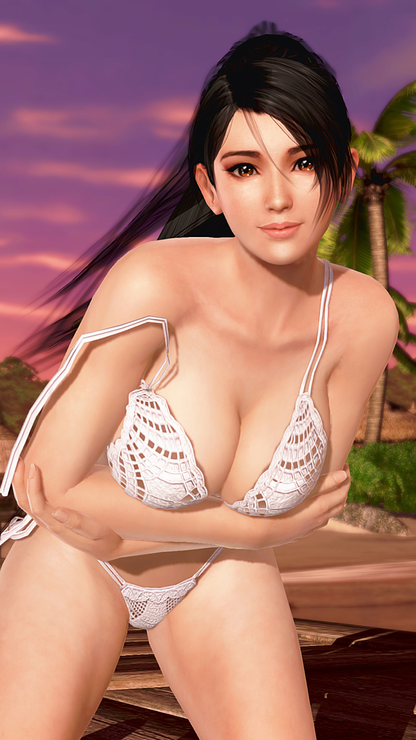 bikini dead_or_alive long_hair momiji_(ninja_gaiden) swimsuit