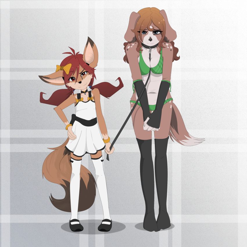 1:1 absurd_res age_difference akari_minamaru anthro big_ears bird_dog blue_eyes bra bracelet breasts brown_fur brown_hair brown_spots canid canine canis child clothed clothing collar cub domestic_dog domination dress duo eyebrows female female/female female_domination fingerless_gloves fluffy fluffy_tail footwear fox freckles fully_clothed fur gloves gothbunnyboy hair hair_bow hair_ribbon hands_together hi_res hunting_dog jewelry legwear looking_at_viewer mammal master/pet model_sheet necklace older_female orange_fur panties partially_clothed pigtails raised_eyebrow red_eyes red_hair ribbons sash shoes short_dress smile spaniel spots submissive_female tamika_raynaki teenager thigh_gap thigh_highs underwear white_spots young younger_female