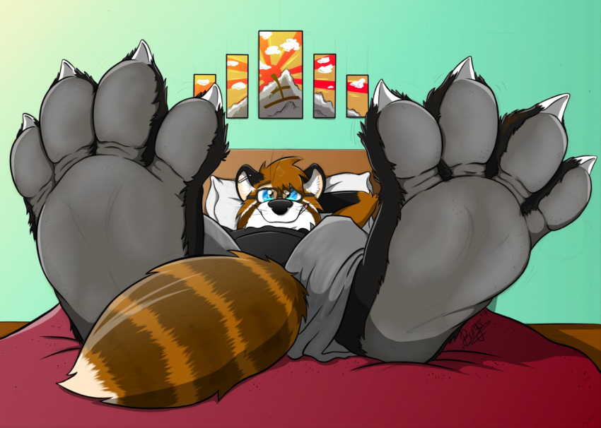 4_toes ailurid anthro claws clothed clothing digital_media_(artwork) feet foot_focus fur looking_at_viewer male mammal paws plantigrade red_panda smile solo toe_claws toes uroko