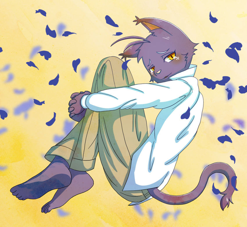 blush crying disney domestic_cat feet felid feline felis gentleman hi_res hugging_knees invalid_tag leaf lilo_and_stitch looking_back male mammal morenatsu shin_(morenatsu) simple_background soles tears yellow_background