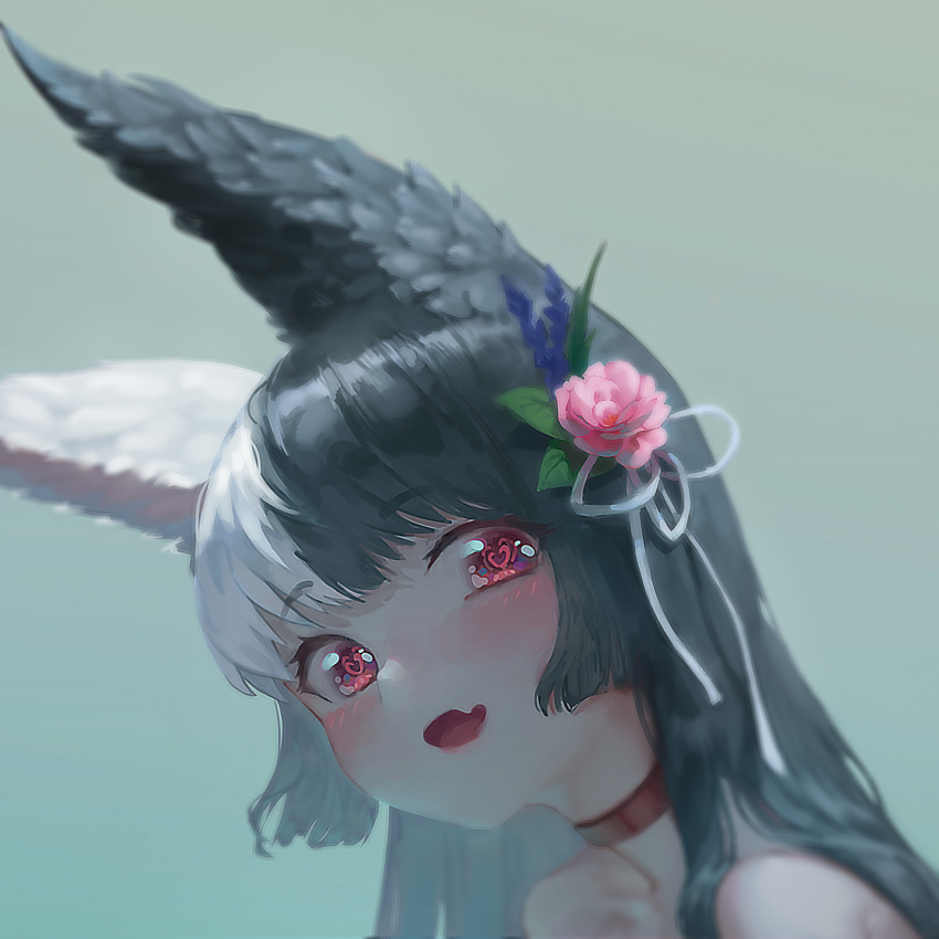 1girl :d absurdres ak4t alice_mana alice_mana_channel animal_ear_fluff animal_ears bangs bare_shoulders black_hair blunt_bangs blush choker commentary_request eyebrows_visible_through_hair fang flower fox_ears green_background hair_flower hair_ornament hair_over_shoulder hair_ribbon heart heart-shaped_pupils highres looking_at_viewer multicolored_hair open_mouth pink_flower red_choker red_eyes ribbon sidelocks smile solo sparkling_eyes symbol-shaped_pupils two-tone_hair upper_body virtual_youtuber white_hair white_ribbon