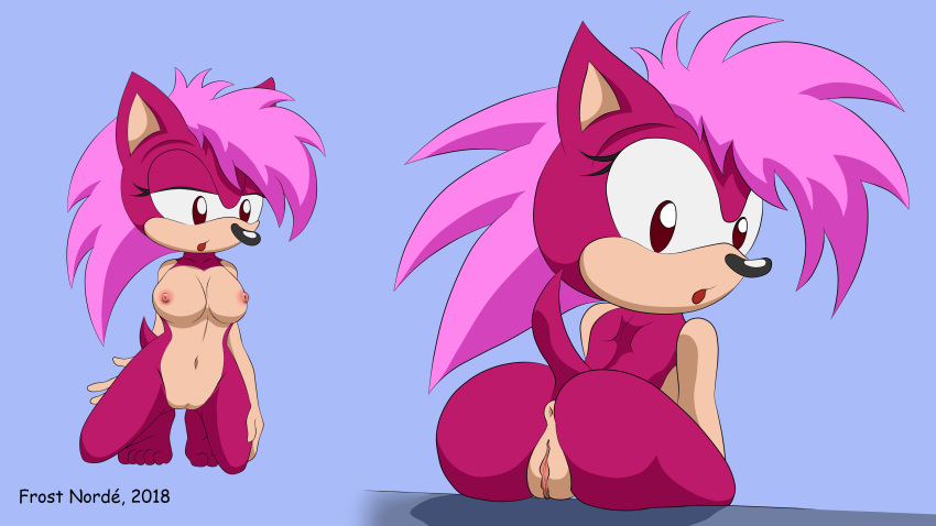 16:9 2018 4k absurd_res anthro anus breasts butt eulipotyphlan female frost_norde hair hedgehog hi_res looking_back mammal nipples nude pussy simple_background sitting solo sonia_the_hedgehog sonic_(series) sonic_underground