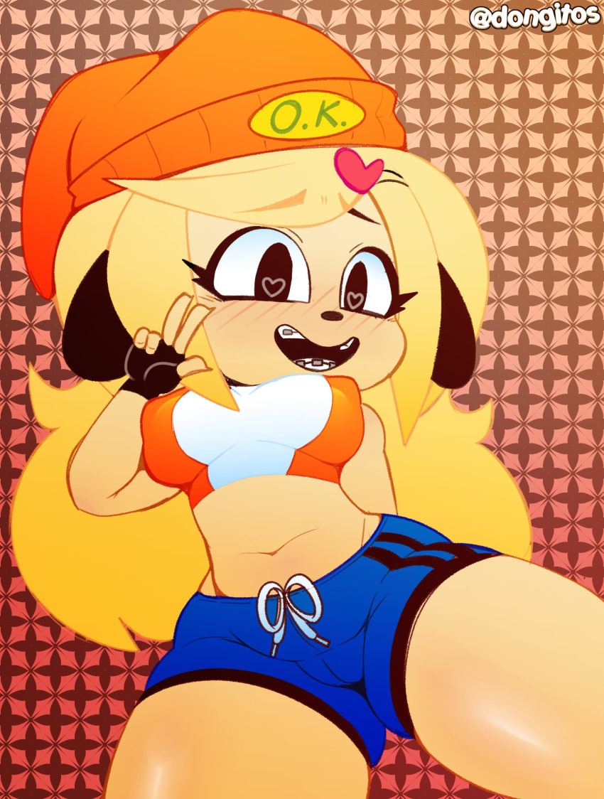 &lt;3 &lt;3_eyes 2019 anthro big_eyes biped black_eyes blonde_hair braces canid canine canis clothing crop_top crossgender domestic_dog dongitos english_text eyelashes female floppy_ears gesture hair hair_ornament hat headgear headwear hi_res long_hair mammal midriff mtf_crossgender nipple_outline parappa parappa_the_rapper pattern_background shirt shorts signature simple_background smile sony_corporation sony_interactive_entertainment text topwear v_sign video_games wide_hips