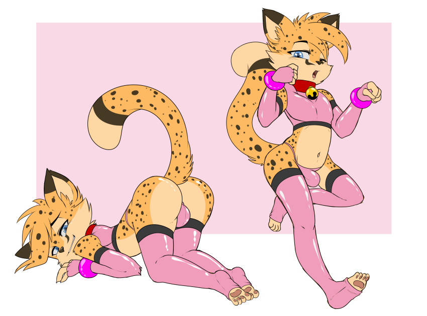 absurd_res anthro balls bell belly blue_eyes bulge butt cheetah clothed clothing collar digital_media_(artwork) enookie fan_character felid feline fur girly hi_res latex_stockings latex_underwear male mammal navel open_mouth partially_clothed pawpads pink_latex presenting raised_tail rubber simple_background smile solo spots spotted_fur submissive_male teasing young