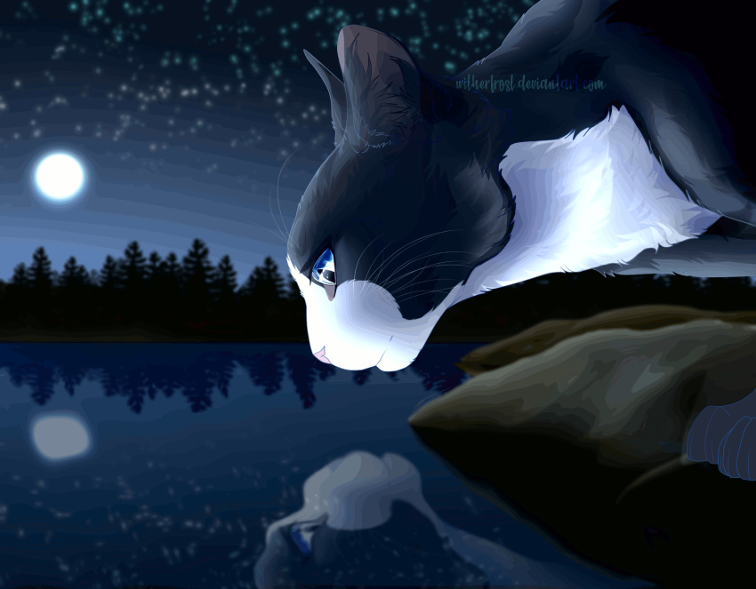 ambiguous_gender animated domestic_cat felid feline felis feral hi_res konarika mammal reflection solo tagme water