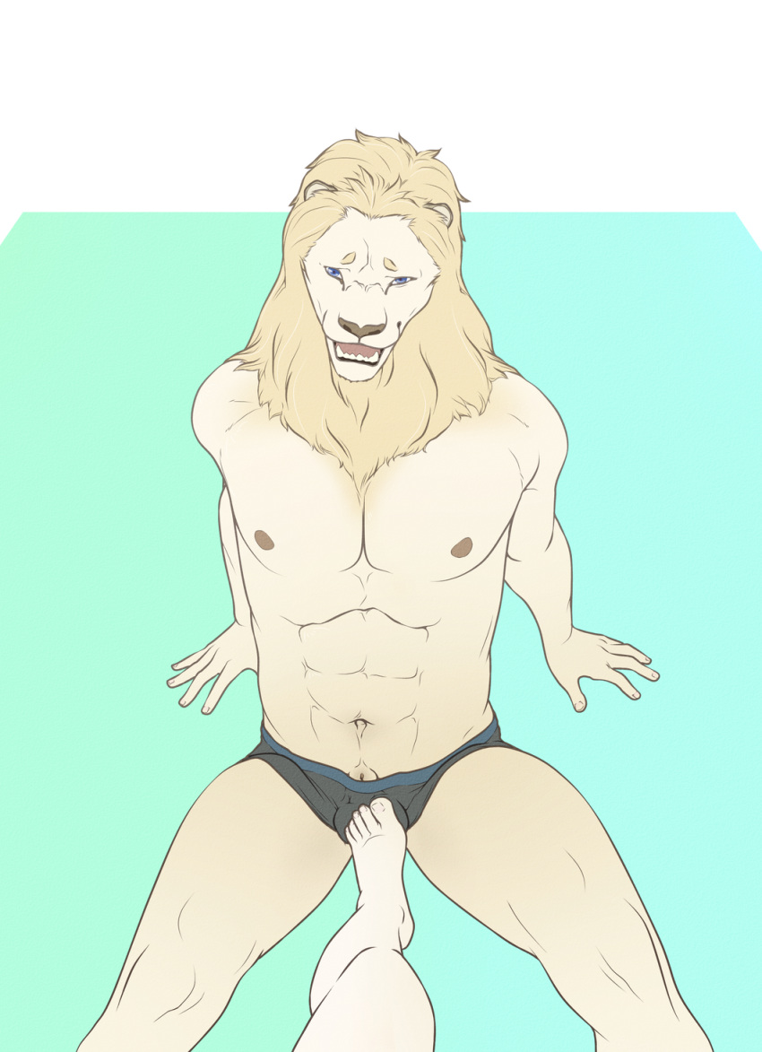 9x9 animal_genitalia anthro ballbusting bulge clothing cock_and_ball_torture control_bestow_therapy father father_and_son felid hi_res lion male mammal muscular pantherine parent sheath son story story_in_description underwear