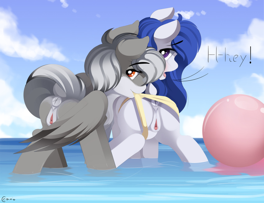 anatomically_correct anus clotes clothing clothing_aside conrie dock equid equine fan_character female hi_res horse mammal my_little_pony nude open_mouth panties panties_aside pterippus pussy sea text underwear underwear_aside water wings