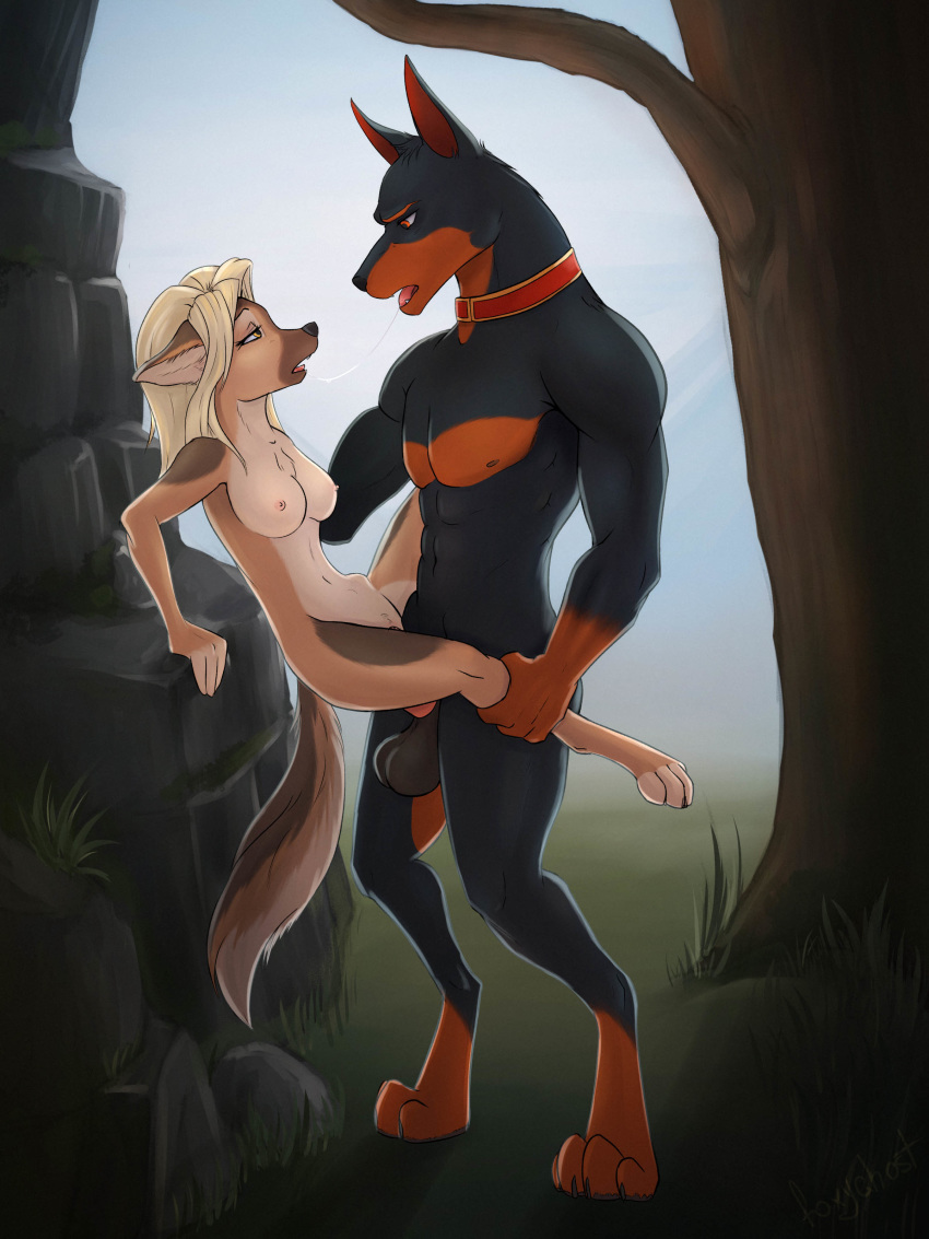 2019 abs absurd_res anthro balls biceps breasts brown_eyes butt canid canine canis cassidy_(kaviki) collar detaled_background dobermann domestic_dog duo erection female female_penetrated foxyghost fur hair hi_res humanoid_penis klaus male male/female male_penetrating mammal muscular muscular_male nipples nude open_mouth penetration penis pinscher pussy romantic sex teeth tongue vaginal vaginal_penetration