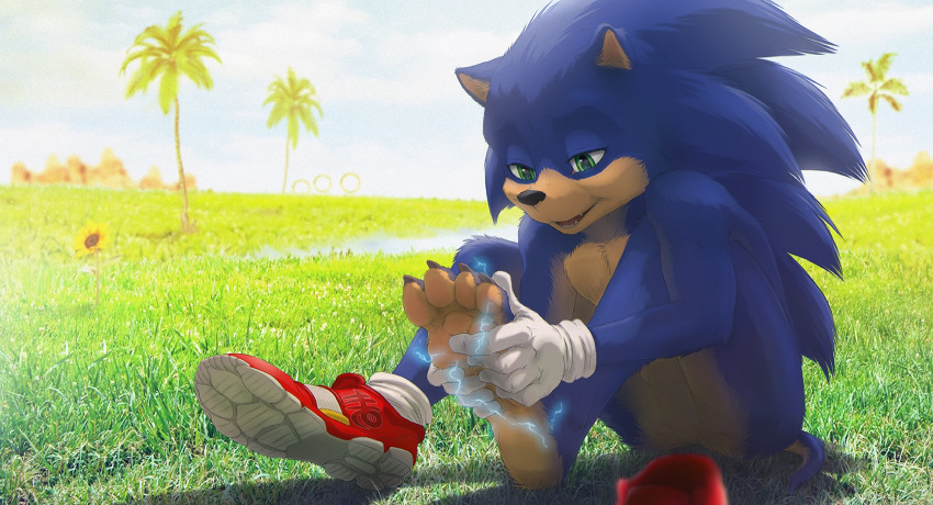 2019 balls clothing electricity eulipotyphlan fangs feet flower footwear fur grass green_eyes hedgehog hi_res male mammal outside palm_tree plant shoes sitting solo sonic_(series) sonic_movie sonic_the_hedgehog sunflower tree zen