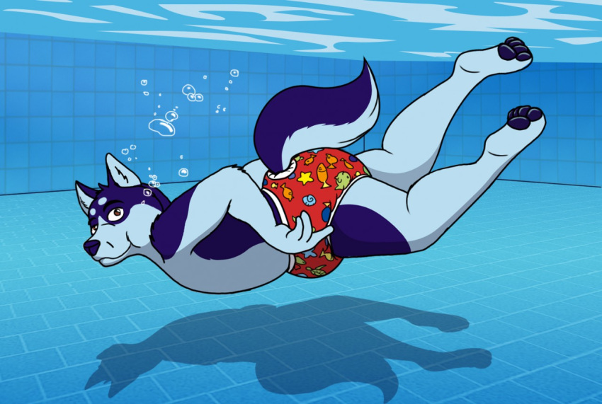 4_toes 5_fingers _barn _leo_(barn) anthro black_fur brown_eyes bubble canid canine canis diaper digital_media_(artwork) domestic_dog fur holding_breath husky looking_at_viewer male mammal muscular nordic_sled_dog pawpads raised_tail solo spitz swim_diaper swimming swimming_pool toes underwater water