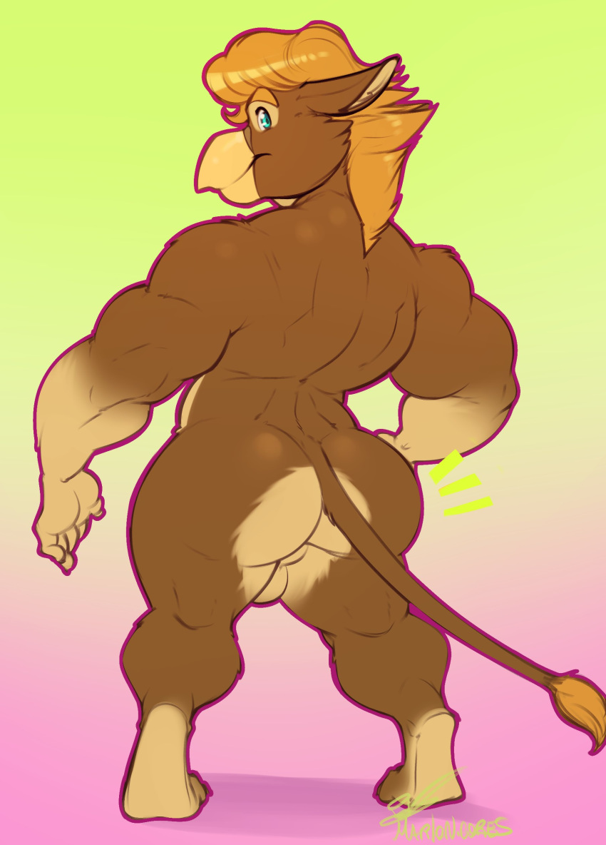 2019 absurd_res anthro avian back_muscles backsack balls barefoot beak biceps biped blue_eyes brent_shumate brown_fur brown_tail butt digital_media_(artwork) digitigrade eyebrows full-length_portrait fur gradient_background gryphon hair hi_res looking_at_viewer looking_back male marlon.cores multicolored_fur muscular muscular_male nude orange_eyebrows orange_hair perineum portrait rear_view signature simple_background solo standing tail_tuft tan_balls tan_fur tuft two_tone_fur yellow_beak