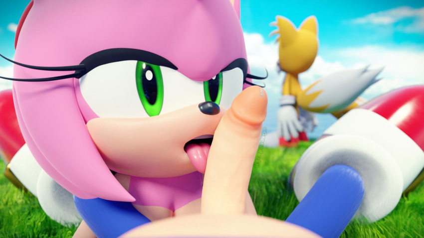 16:9 amy_rose canid canine clothing eulipotyphlan fellatio female footwear fox fur ganondork gloves hedgehog hi_res humanoid_penis licking male male/female mammal miles_prower nude oral penile penis pink_fur precum sex shoes sonic_(series) sonic_the_hedgehog tongue tongue_out