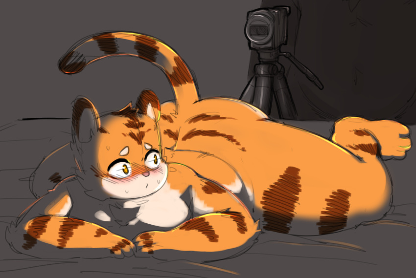 absurd_res anthro blush camera felid hi_res looking_back lying male mammal on_front pantherine pururing slightly_chubby solo sweat thick_thighs tiger