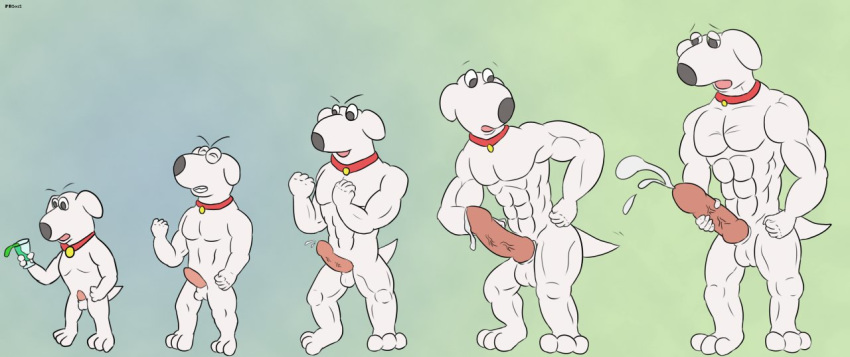 2012 animal_genitalia animal_penis balls brian_griffin canid canine canine_penis canis collar cum domestic_dog family_guy growth male mammal masturbation muscle_growth muscular passer-by penis solo