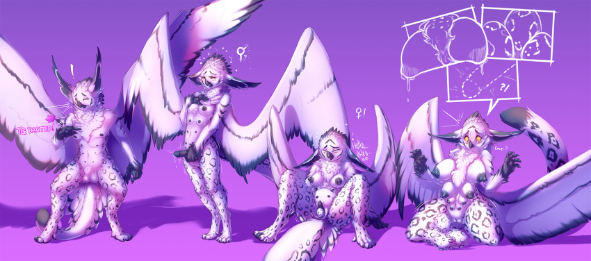 ! 2019 ?! anthro avian balls bird black_nipples black_penis breast_growth breasts egg feathered_wings feathers felid female gender_transformation hi_res hybrid male mammal mtf_transformation multi_breast multi_nipple navel nipples nude oviposition owl pantherine penis pussy sequence snow_leopard spread_legs spreading transformation watsup wings