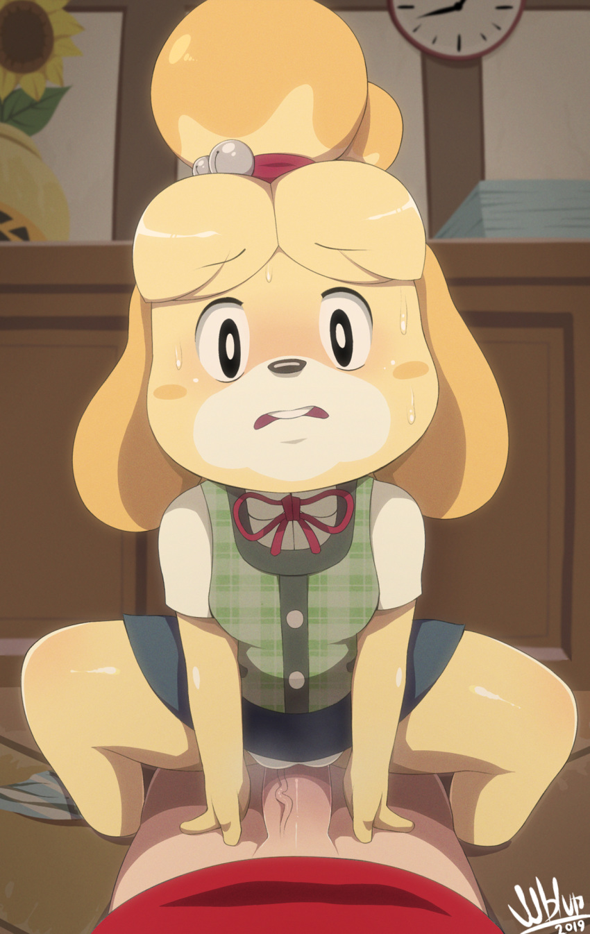 2019 animal_crossing anthro biped black_eyes black_nose blush blush_stickers bottomwear canid canine canis clothed clothed_sex clothing detailed_background domestic_dog duo erection female female_focus female_penetrating fur hi_res human human_on_anthro interspecies isabelle_(animal_crossing) light_skin looking_at_viewer male male/female male_penetrating mammal nervous nintendo pale_skin penetration penis sex shih_tzu signature skirt sweat sweatdrop tan_skin toy_dog vein veiny_penis video_games white_fur white_pupils wildblur yellow_fur