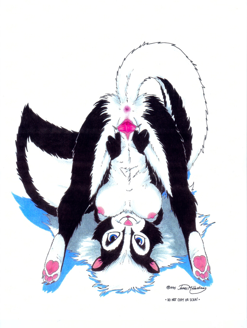 1995 absurd_res anthro anus black_fur blue_eyes breasts butt curled_up female fur hi_res hindpaw james_m_hardiman labia_pull looking_at_viewer looking_through_legs mammal mephitid natasha_(jmh) nipples nude paws presenting presenting_hindquarters pussy simple_background skunk smile solo spread_legs spread_pussy spreading upside_down white_background white_fur