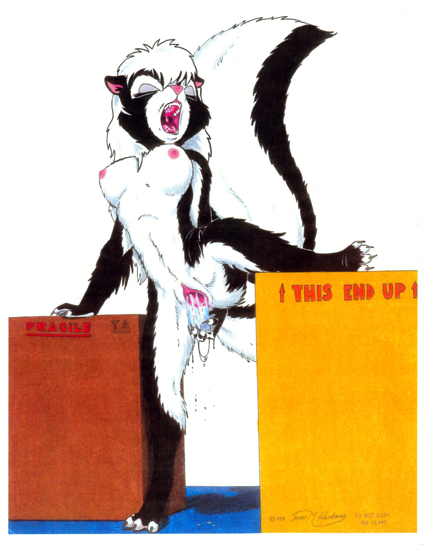 1995 absurd_res anthro black_fur box breasts claws cum dildo eyes_closed female fur hair hi_res holding_object holding_sex_toy james_m_hardiman lori_(jmh) mammal masturbation mephitid nipples nude open_mouth penetration pink_nose pussy pussy_juice sex_toy skunk solo toying_self vaginal vaginal_masturbation vaginal_penetration white_fur white_hair