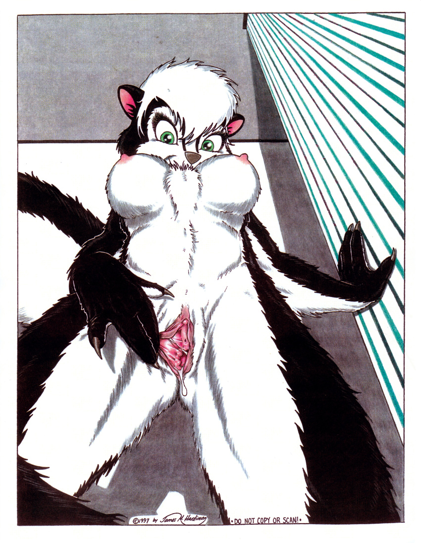 1997 absurd_res anthro black_fur black_nose breasts clitoris female fur green_eyes hair hi_res james_m_hardiman looking_down lori_(jmh) low-angle_view mammal mephitid nipples presenting pussy pussy_juice skunk solo spread_pussy spreading urethra white_fur white_hair