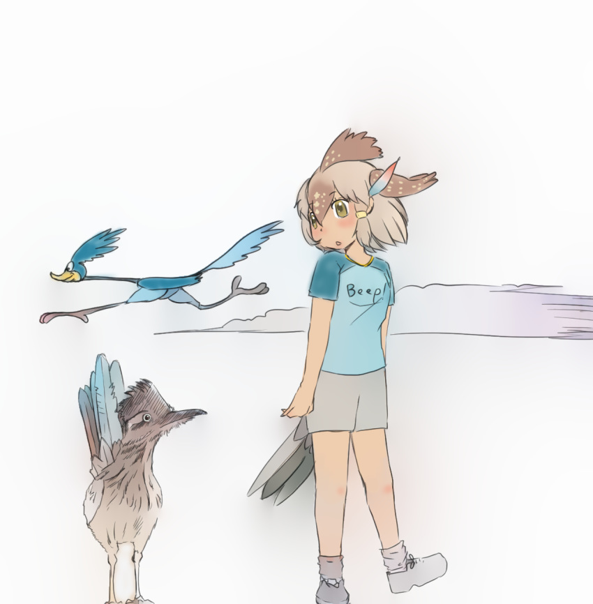 2019 ambiguous_gender animal_humanoid avian avian_humanoid beak biped bird bird_feet blue_clothing blue_feathers blue_shirt blue_tail blue_topwear blue_wings bottomwear brown_eyes brown_feathers brown_hair brown_highlights brown_wings clothed clothing crossover cuculiform cuculiform_humanoid digital_drawing_(artwork) digital_media_(artwork) duo_focus dust feather_tuft feathered_wings feathers female feral folded_wings footwear full-length_portrait fully_clothed greater_roadrunner greater_roadrunner_(kemono_friends) grey_beak grey_bottomwear grey_clothing grey_feathers grey_hair grey_shorts grey_tail grey_wings group hair hair_highlights hair_ring hatching_(art) head_tuft head_wings hi_res humanoid iceeye_ena japanese kemono_friends larger_female larger_humanoid legwear light_skin looking_at_another looking_down looney_tunes multicolored_feathers multicolored_hair new_world_ground_cuckoo open_mouth portrait road_runner_(looney_tunes) roadrunner roadrunner_humanoid running shadow shirt shoes short_hair shorts simple_background size_difference smaller_ambiguous smaller_feral smile socks standing t-shirt tail_feathers tan_skin toony topwear tuft two_tone_feathers two_tone_hair two_tone_tail warner_brothers white_background wings yellow_beak