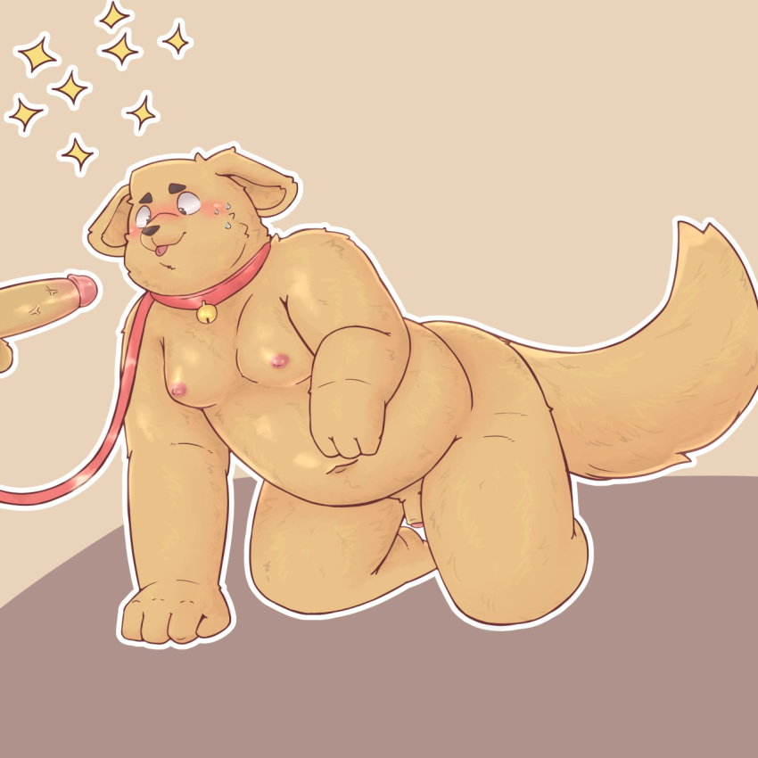 1:1 all_fours anthro balls bfkitsu1550 blush canid canine canis collar domestic_dog erection flaccid foreskin hi_res humanoid_penis leash male male/male mammal moobs navel obese overweight penis simple_background uncut