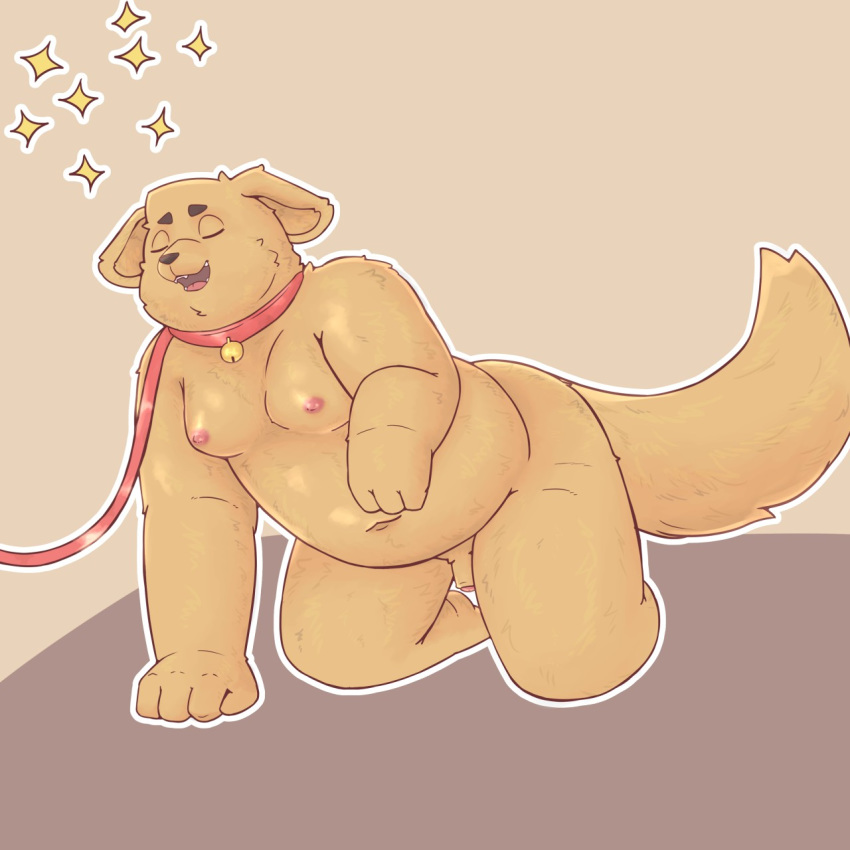 1:1 all_fours anthro bfkitsu1550 canid canine canis collar domestic_dog eyes_closed flaccid foreskin hi_res humanoid_penis leash male mammal moobs navel obese overweight penis simple_background solo uncut