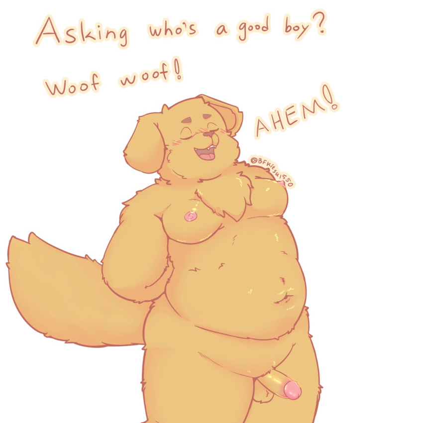 1:1 anthro balls bfkitsu1550 blush canid canine canis domestic_dog erection hi_res humanoid_penis male mammal moobs navel open_mouth penis simple_background solo standing text