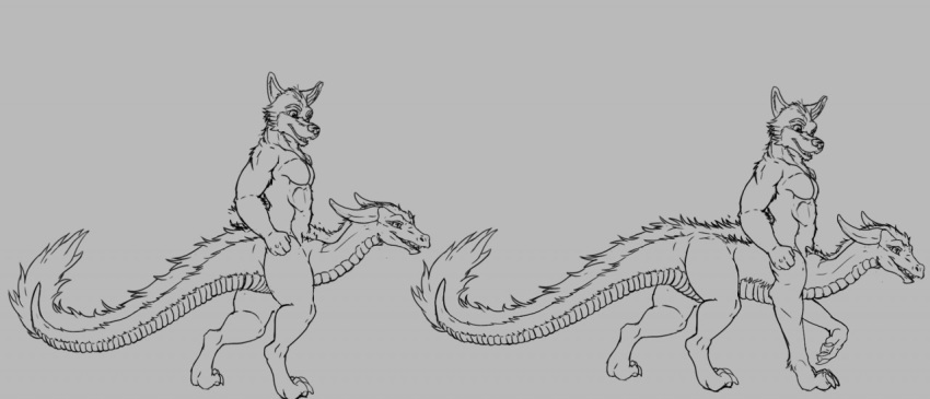 anthro canid canine canis cock_transformation conjoined crotch_head dragon line_art male mammal merging multi_body multifur scalie stygiandragon taur transformation wolf