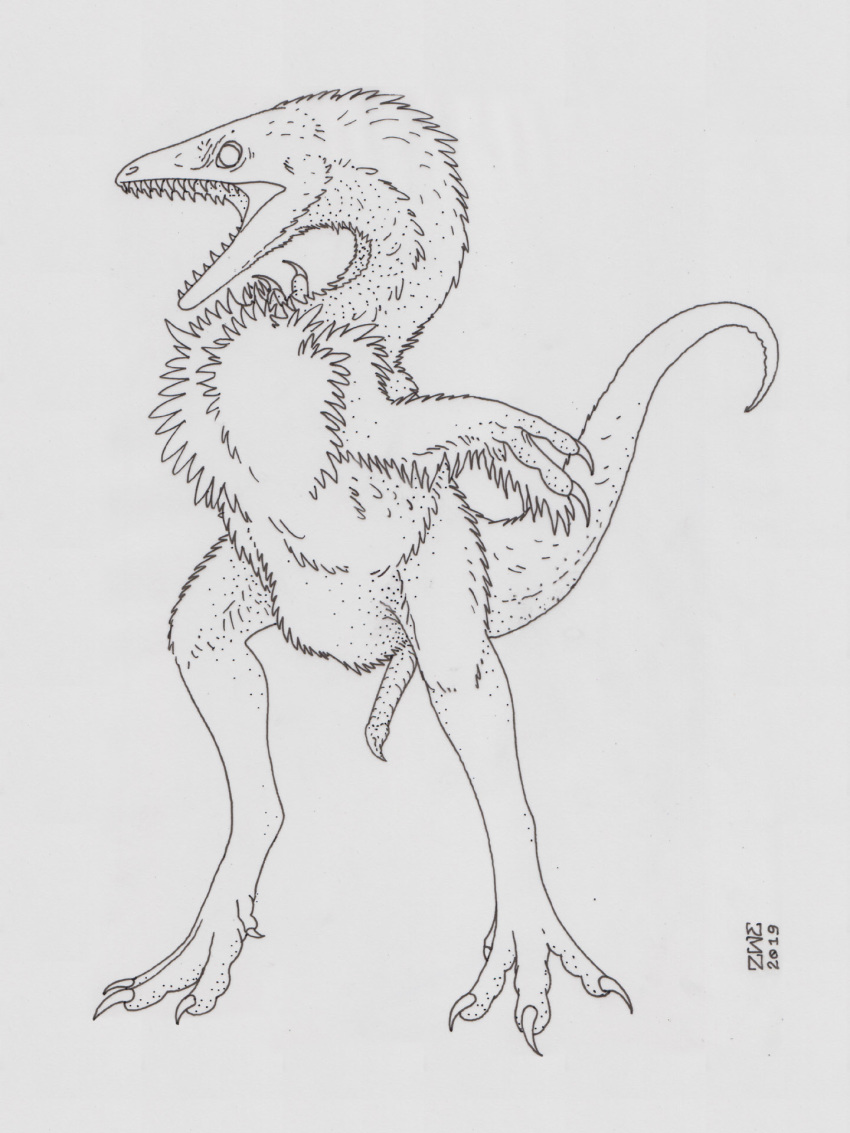 2019 4_toes animal_genitalia animal_penis biped chest_tuft claws compsognathid compsognathus crest dinosaur erection feathered_crest feathers feral flashing full-length_portrait glans greyscale hi_res looking_at_viewer male monochrome nude open_mouth pen_(artwork) penis portrait pose raised_tail reptile scalie screaming simple_background solo spread_arms standing teeth theropod three-quarter_view tiptoes toes traditional_media_(artwork) tuft white_background zw3