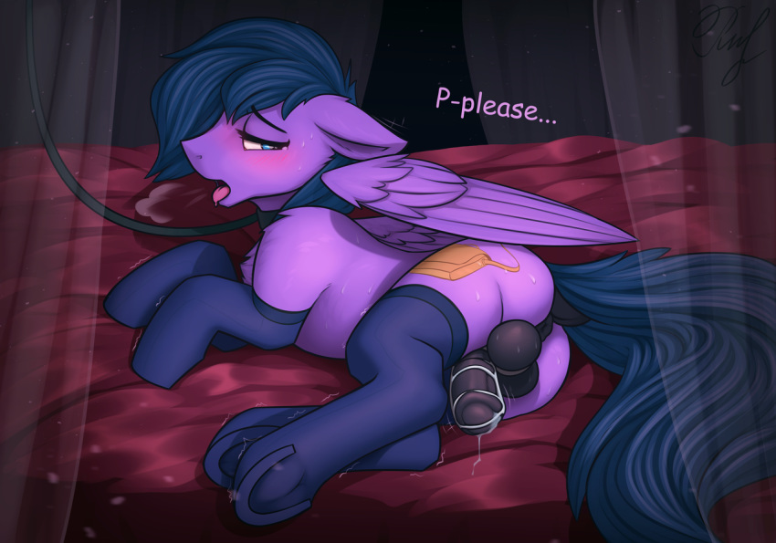 bdsm begging blue_hair blush bondage bound breath chastity clothing cutie_mark equid equine fan_character feather_freight feral fur hair legwear male mammal my_little_pony open_mouth orgasm_denial panting phenyanyanya precum pterippus purple_fur socks solo sweat text tongue tongue_out