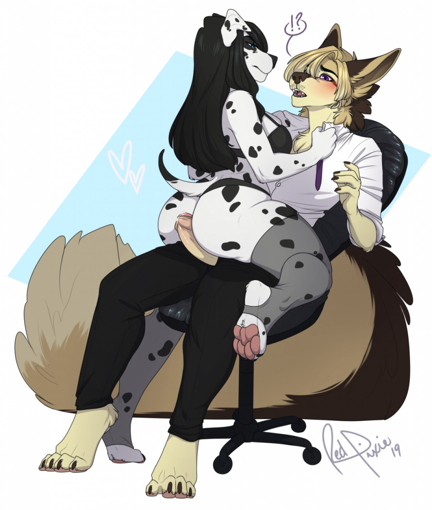 ?! anthro blush canid canine chair clothing duo erection female hi_res humanoid_penis legwear male male/female mammal open_mouth osiris_henschel penis redpixie sitting stockings thick_thighs uncut