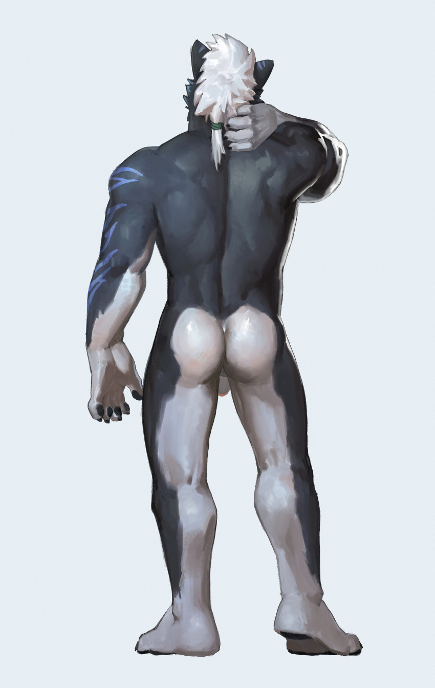 2017 4_toes 5_fingers absurd_res back_muscles biceps black_fur black_nose blue_eyes butt canid canine canis chest_tuft countershading digital_media_(artwork) foreskin fur hair hand_behind_head hi_res humanoid_penis luoluokun517 male mammal muscular muscular_male nipples penis pubes solo standing toes triceps tuft white_countershading white_hair wolf