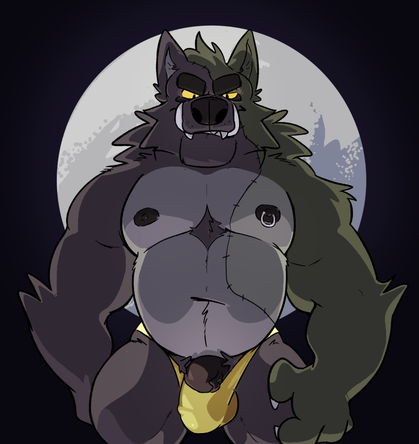 2018 anthro belly biceps big_penis biped black_nose bulge canid canine canis chest_tuft claws clothed clothing digital_media_(artwork) eyebrows front_view full_moon fur grey_fur haps hi_res humanoid_penis looking_at_viewer male mammal moon mostly_nude musclegut muscular muscular_male navel neck_tuft night nipple_piercing nipples outside pecs penis penis_outline piercing quads scar simple_background smile solo standing teeth thong tuft vein veiny_penis were werecanid werecanine werewolf white_fur wolf
