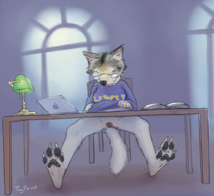 2019 anthro bottomless canid canine canis clothed clothing clothing_lift computer eyewear female fur glasses grey_fur hindpaw lamp laptop looking_at_viewer mammal one_eye_closed paws pussy shirt shirt_lift solo spread_legs spreading tayferret topwear wolf