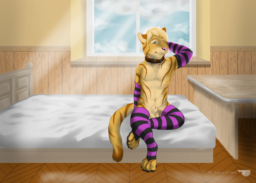 absurd_res animal_genitalia bed clothing digital_media_(artwork) domestic_cat felid feline felis girly hi_res legwear male mammal nude sheath solo stockings tygrysiolowek