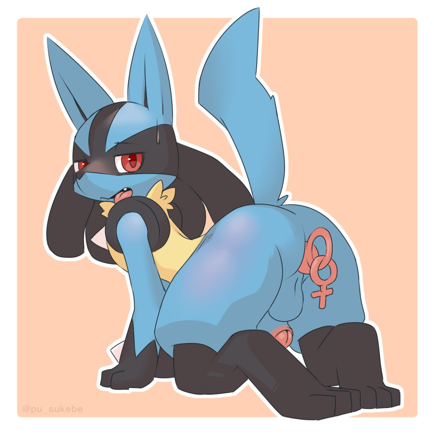 1:1 2019 anal anal_penetration anthro black_fur blue_fur butt buttplug fur hi_res humanoid_penis looking_at_viewer looking_back lucario male male_penetrated nintendo nude penetration penis pok&eacute;mon pok&eacute;mon_(species) pu_sukebe rear_view red_eyes sex_toy solo uncut video_games yellow_fur