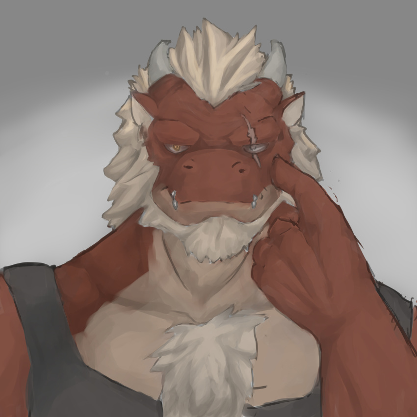 1:1 absurd_res anthro beard body_hair chest_hair dragon facial_hair frame_(artist) hair hi_res horn kemono looking_at_viewer male raichi47 scalie scar solo white_hair