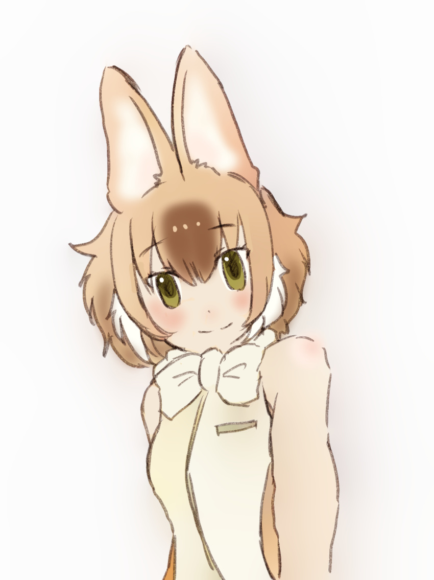 2019 animal_humanoid bare_shoulders biped blush bow_tie breasts brown_ears brown_hair brown_highlights bust_portrait canid canid_humanoid canine canine_humanoid clothed clothing dhole_(kemono_friends) dhole_humanoid eyebrow_through_hair eyebrows female foreshortening fully_clothed hair hair_highlights hatching_(art) head_tilt hi_res humanoid iceeye_ena japanese kemono_friends light_skin looking_at_viewer mammal multicolored_hair perspective portrait prick_ears shadow shirt short_hair simple_background smile solo tan_hair tan_skin topwear translucent translucent_hair two_tone_hair white_background white_clothing white_hair white_highlights white_shirt white_topwear yellow_eyes