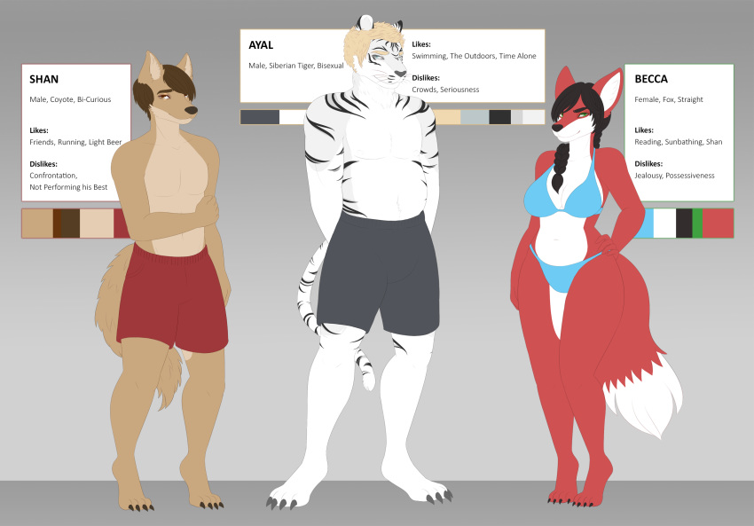 canid canine canis cast_sheet clothing coyote felid feline female fox hi_res male mammal model_sheet pantherine ruruscube shy siberian_tiger swimwear tiger