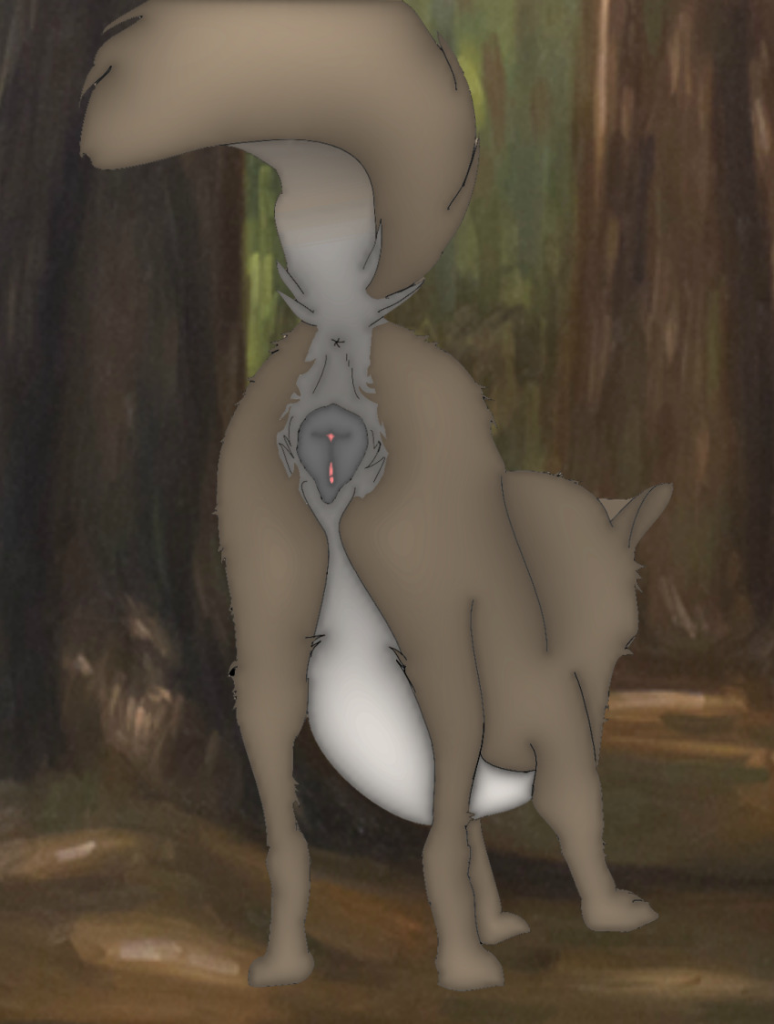 anatomically_correct animal_genitalia animal_pussy canid canine canine_pussy canis female feral flintanthro forest fur hi_res kami mammal presenting pussy tree wolf